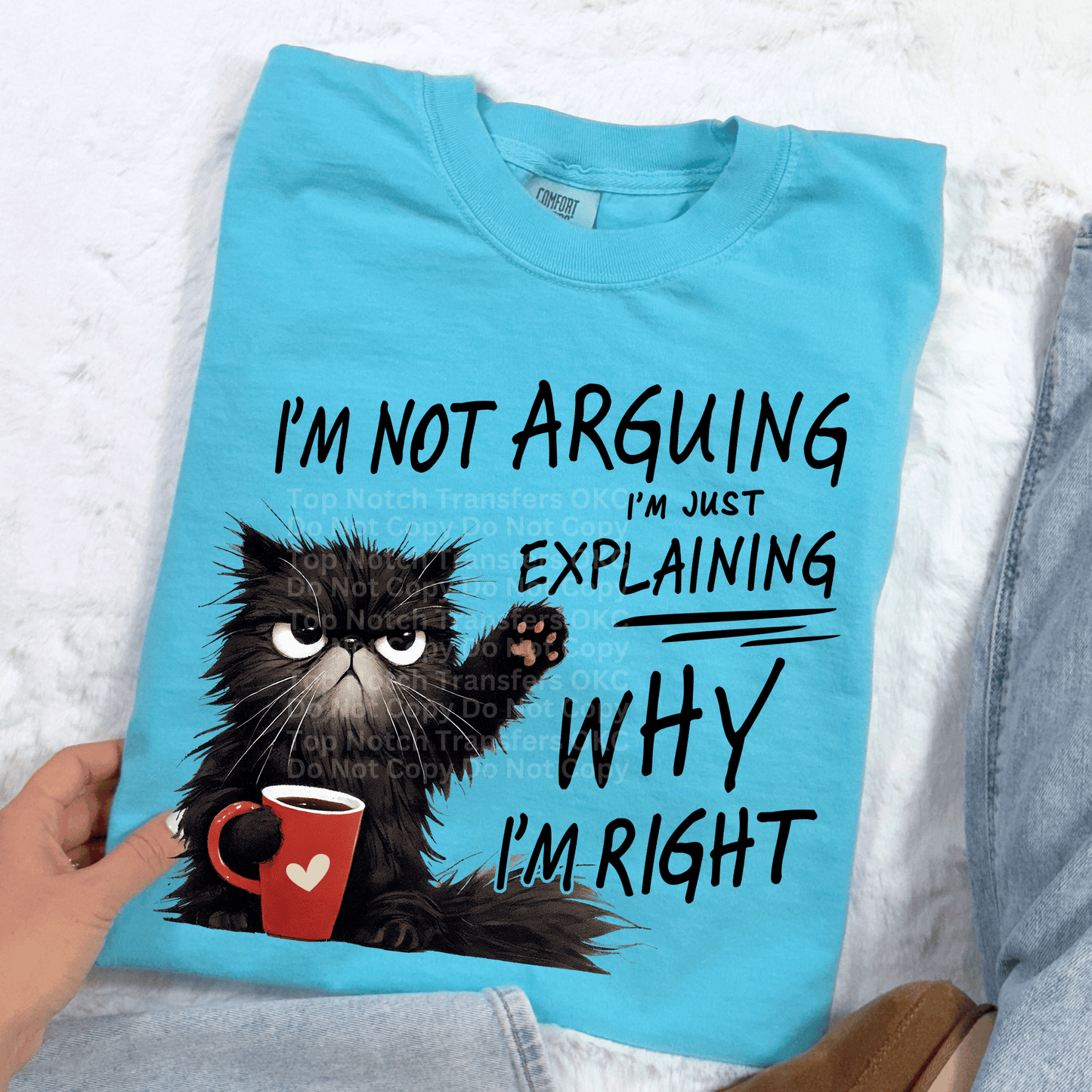 I’m Not Arguing, I’m Just Explaining Why I’m Right DTF Transfer