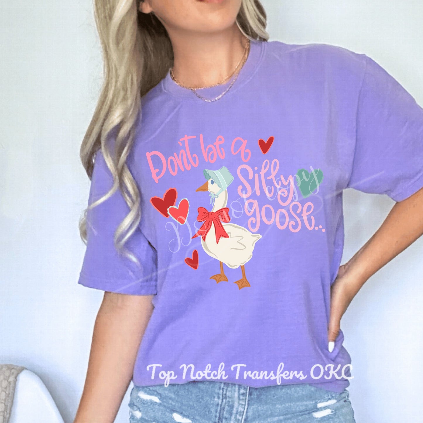 Don’t Be a Silly Goose DTF Transfer