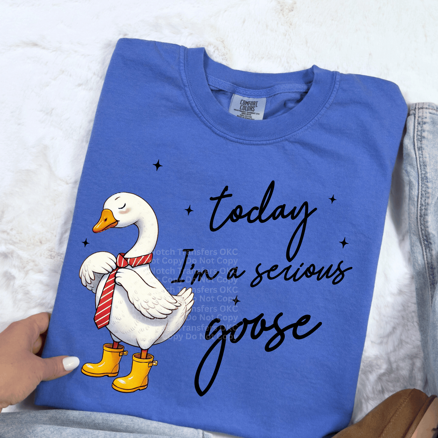 Today I’m A Serious Goose DTF Transfer