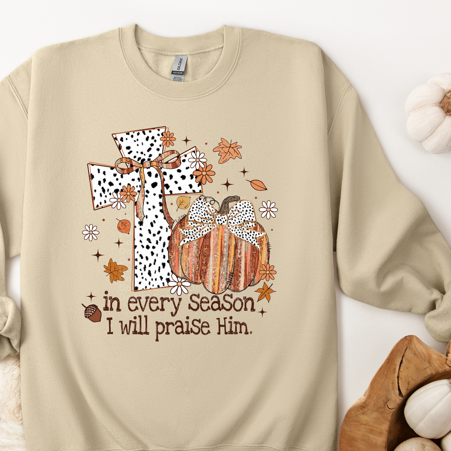 In Every Season I Will Praise Him DTF Transfer