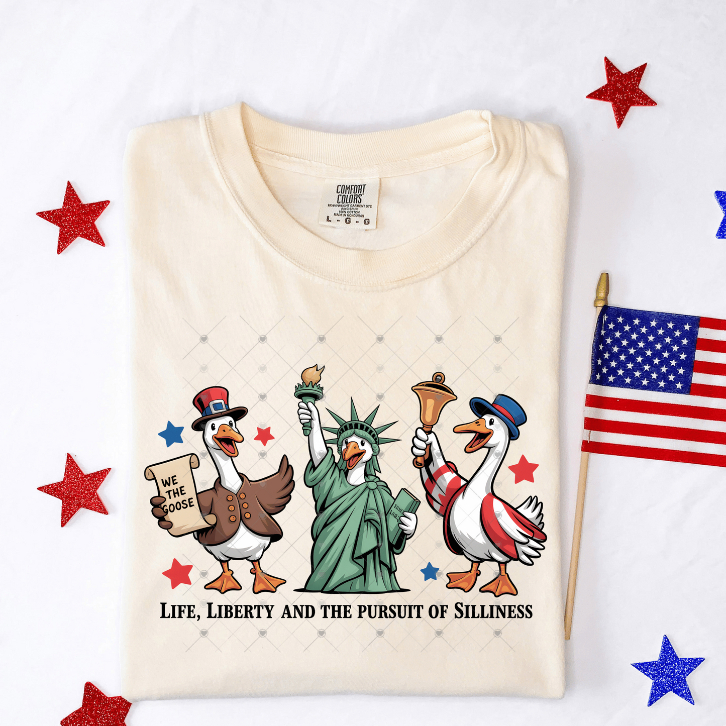 Patriotic Geese DTF Transfer