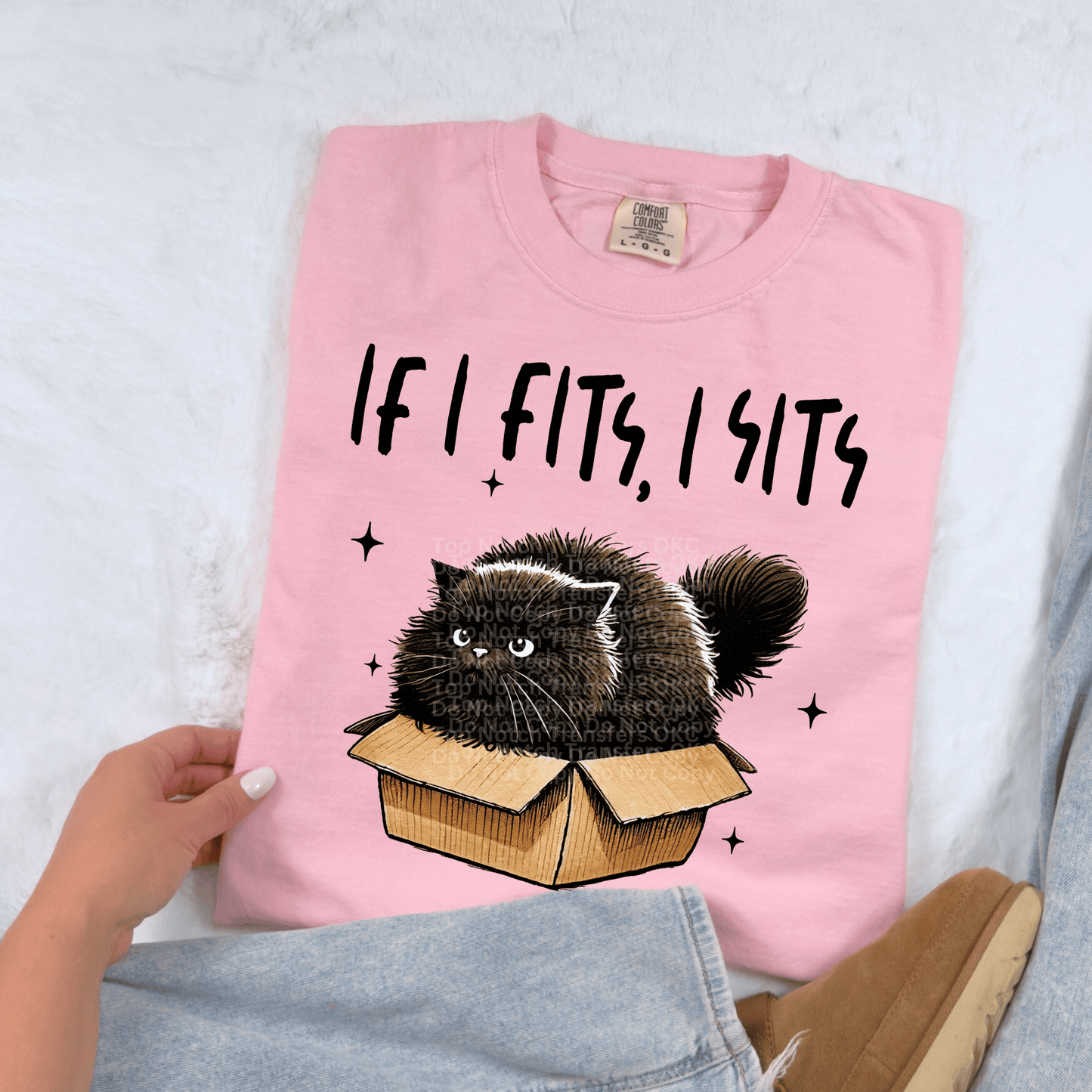 If I Fits, I Sits DTF Transfer