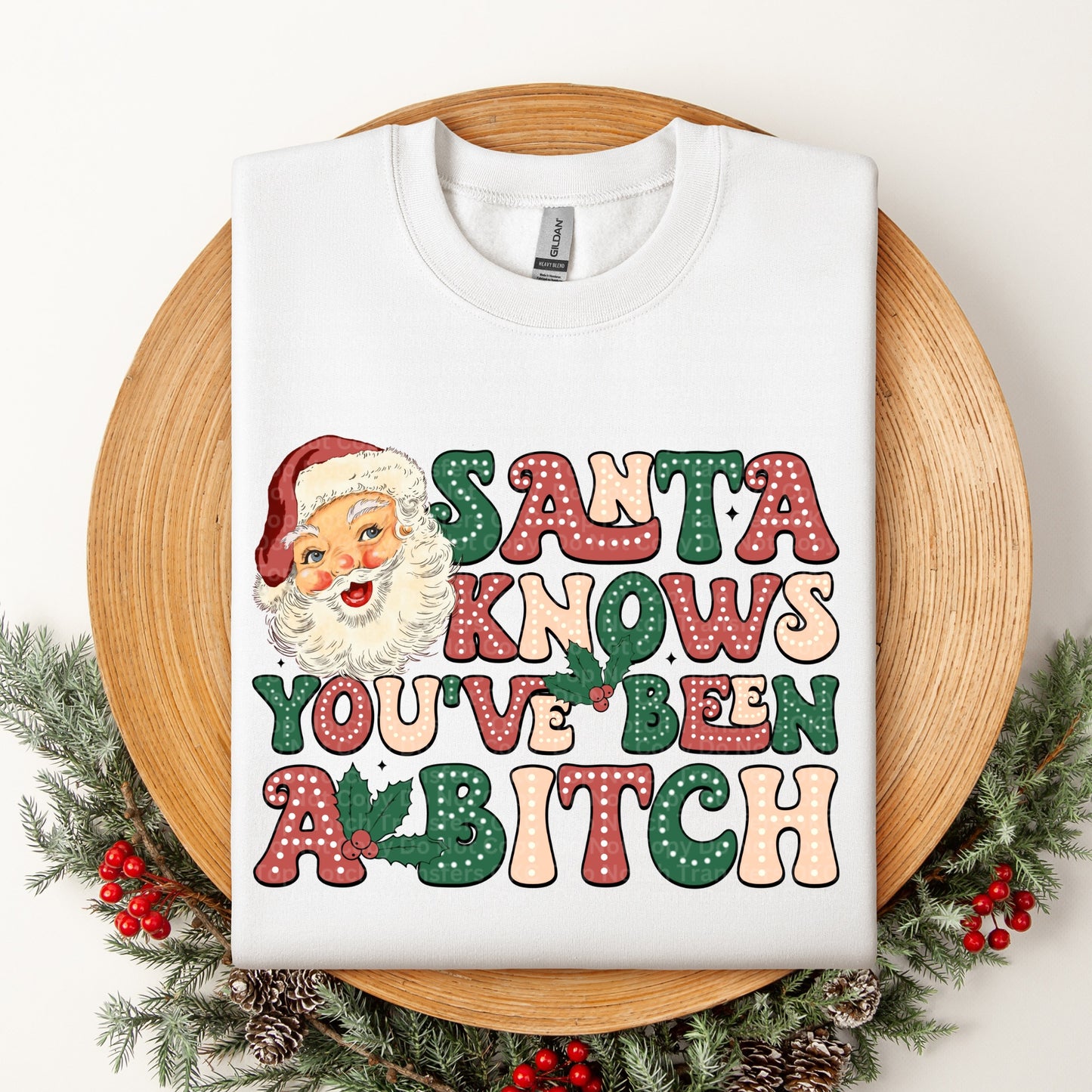 Santa Knows You've Been A Bitch DTF Transfer