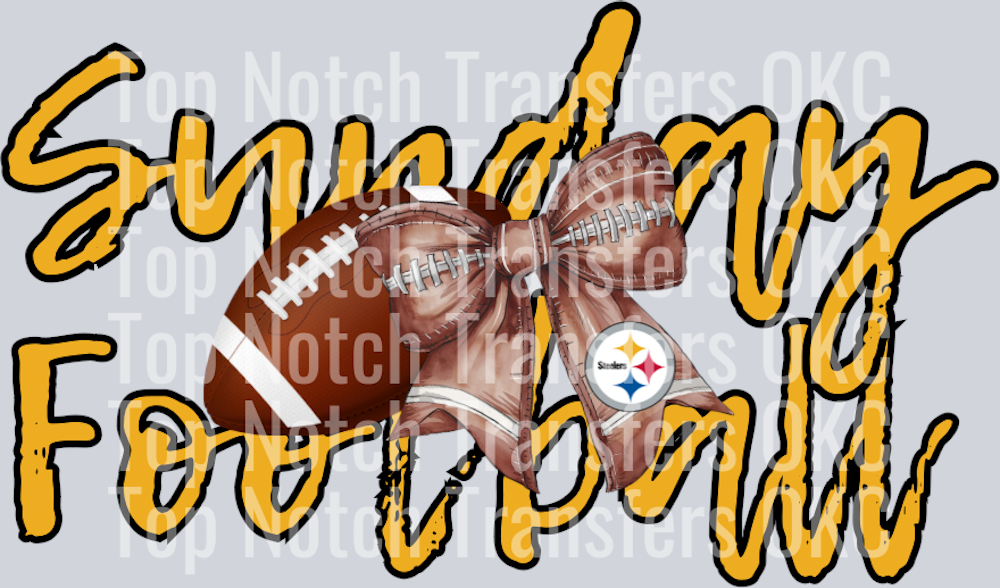 Steelers (1)