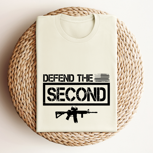 Defend The ( Flag) Second in Black Frame Gun Underneath - Black/Distressed DTF Transfer