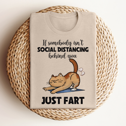 If Somebody isn't Social Distancing Just Fart Cat DTF Transfer