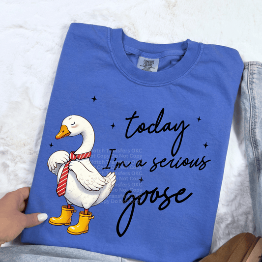 Today I’m A Serious Goose DTF Transfer