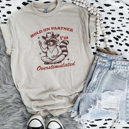 Overstimulated Raccoon 2 DTF Transfer