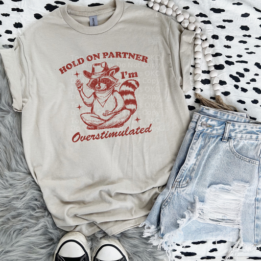 Overstimulated Raccoon (Red) DTF Transfer