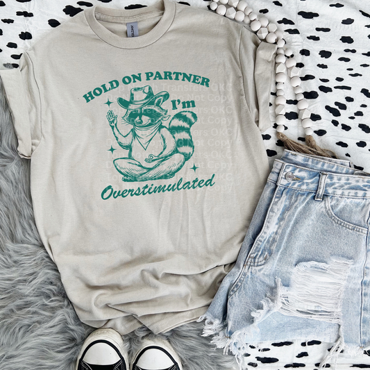 Overstimulated Raccoon (Green) DTF Transfer
