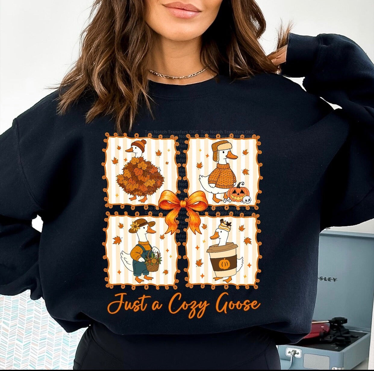 Just a Cozy Goose DTF Transfer