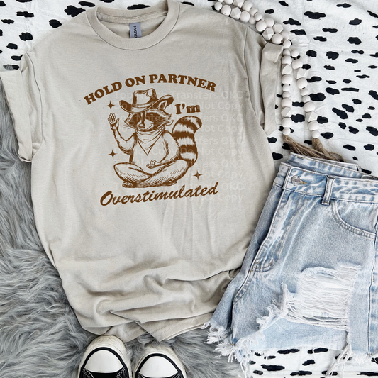 Overstimulated Raccoon (Brown) DTF Transfer