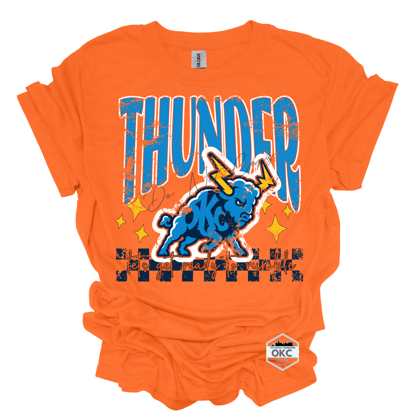 Thunder Bison T-Shirt