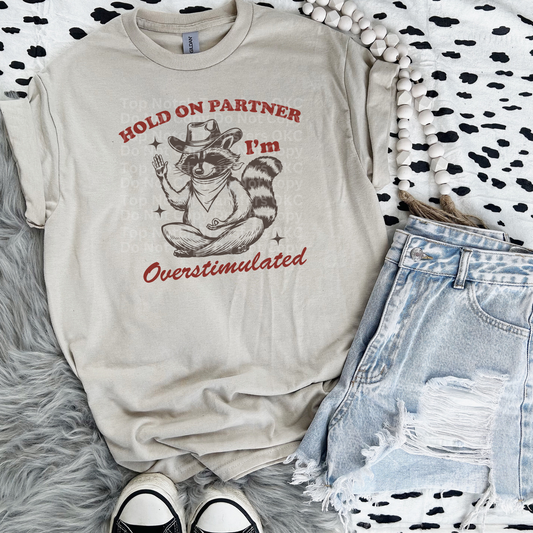 Overstimulated Raccoon DTF Transfer