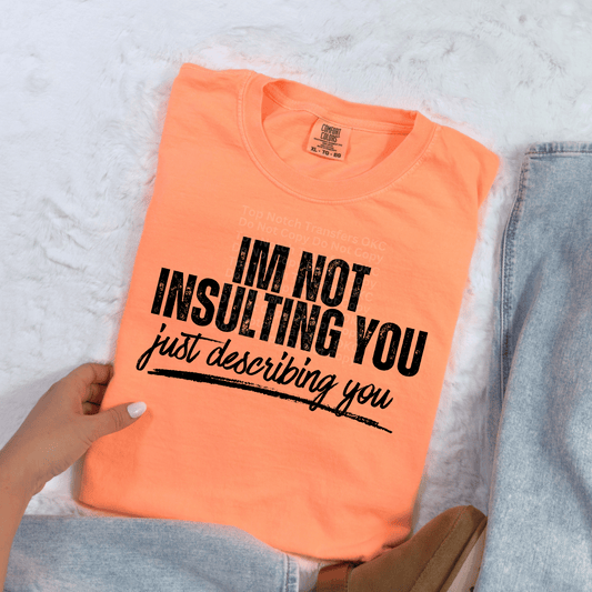 I’m Not Insulting You DTF Transfer