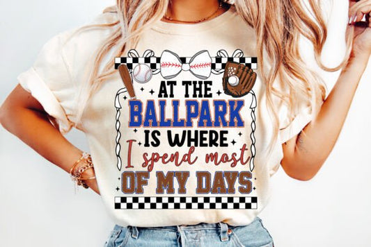 At The Ballpark DTF Transfer