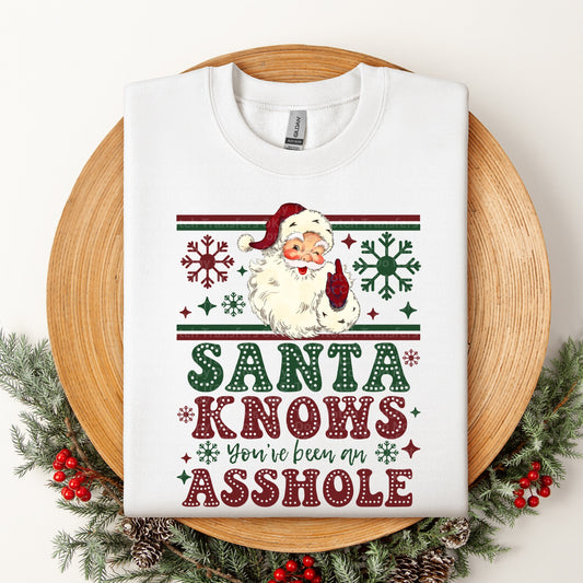Santa Knows You've Been an Asshole DTF Transfer