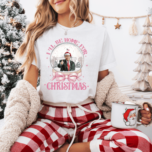 Trump Christmas Snow globe DTF Transfer