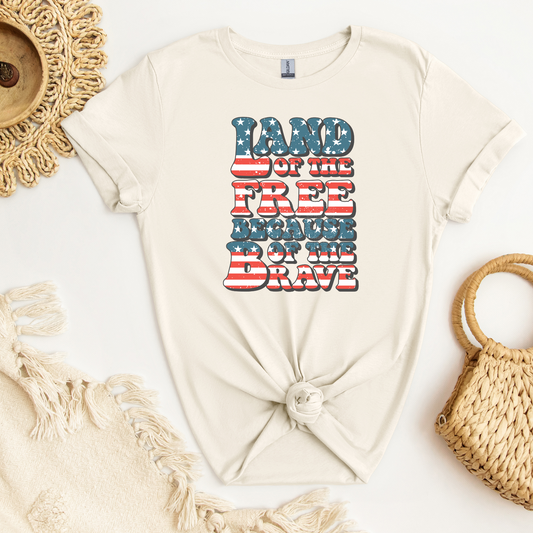 Land of the Free Because of the Brave - Blue w/stars Red & White Stripes DTF Transfer