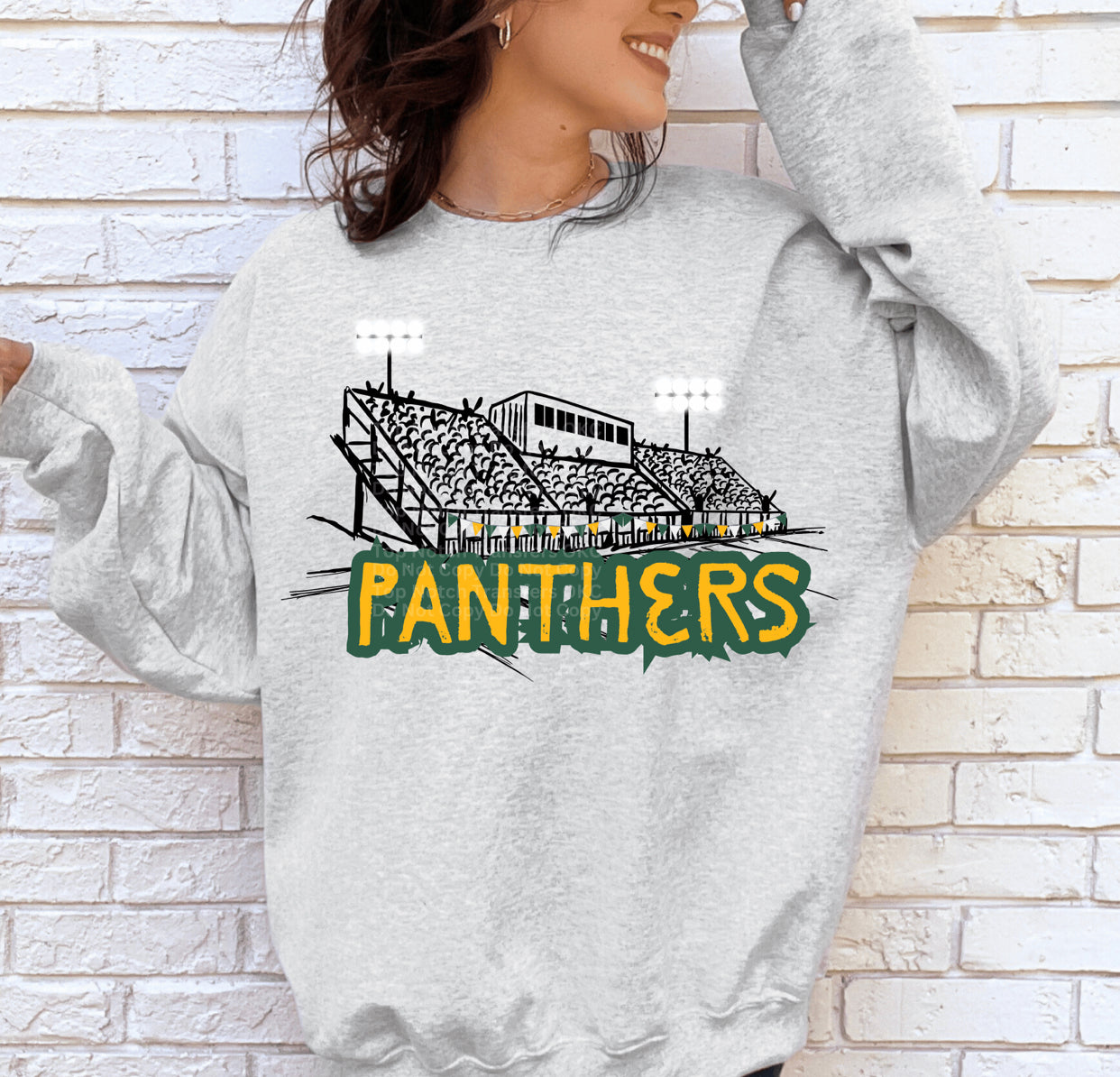 Panthers Football Stands DTF Transfer