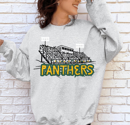 Panthers Football Stands DTF Transfer