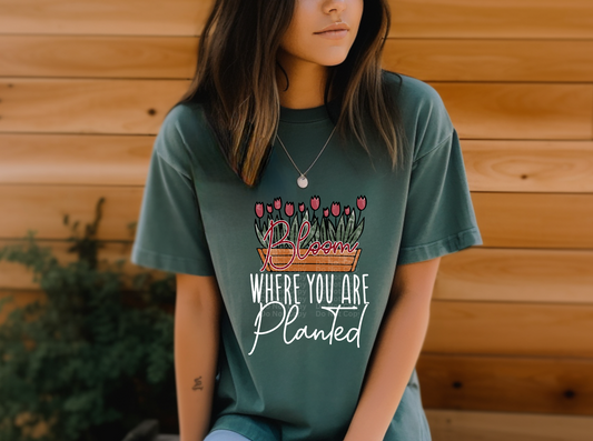 Bloom Where You Are Planted DTF Transfer