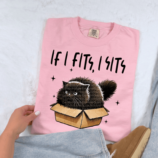 If I Fits, I Sits DTF Transfer