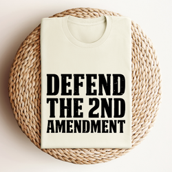 Defend The Second Amendment Text only- Black/Distressed DTF Transfer