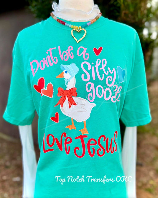 Don’t Be A Silly Goose Love Jesus DTF Transfer