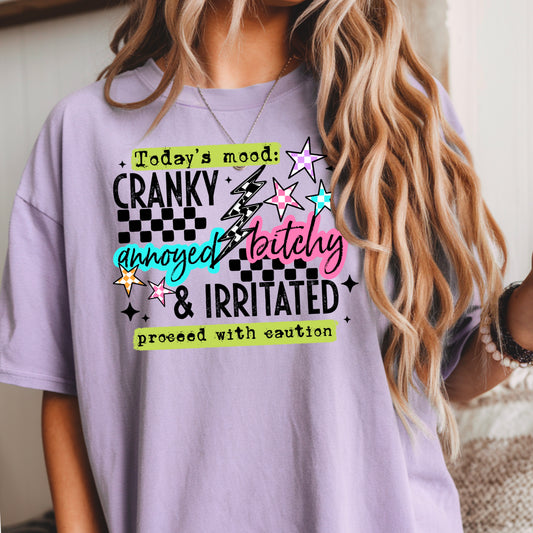Today’s Mood- Cranky, Annoyed, Bitchy & Irritated, Proceed with Caution DTF Transfer