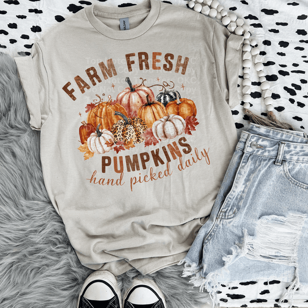 Farm Fresh Pumpkins DTF Transfer
