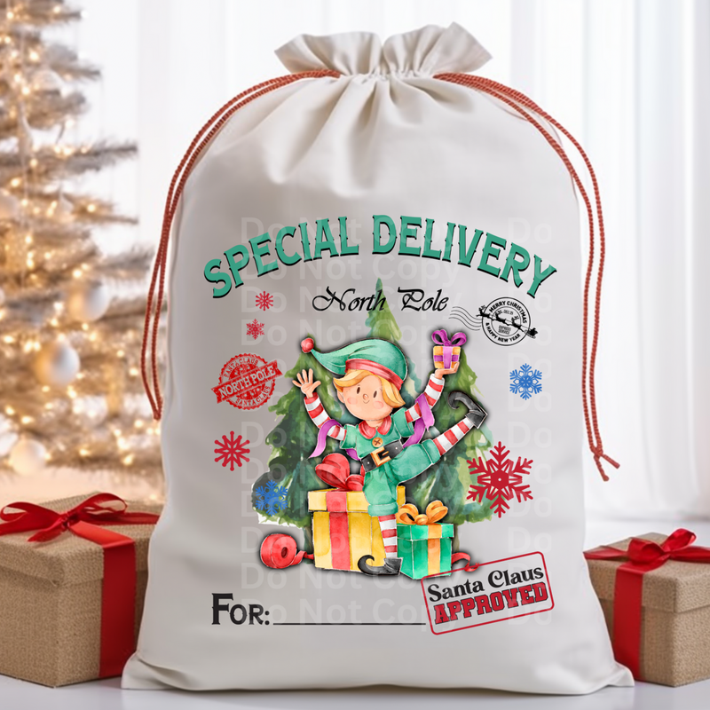 Santa Bag Design 20 DTF Print