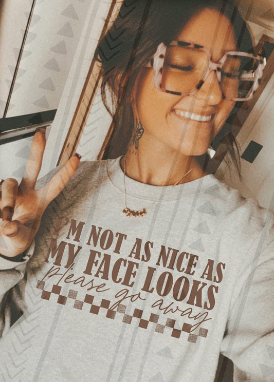 I’m Not As Nice As My Face Looks DTF Transfer