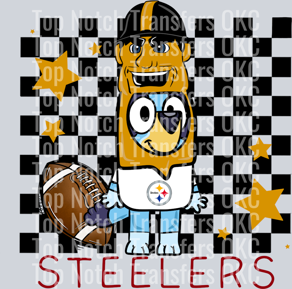 Steelers (17)