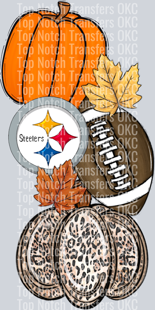 Steelers (25)