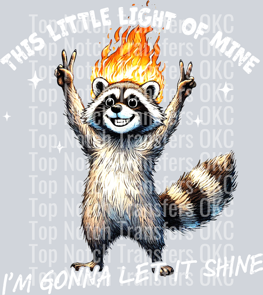 This Little Light Of Mine (White)