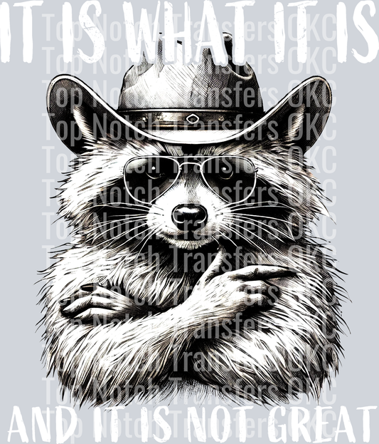 It is what it is (White)