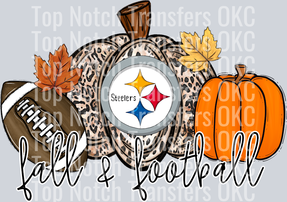 Steelers (24)